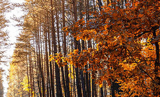 抖店到店入驻流程及常见问题解答，商家必知