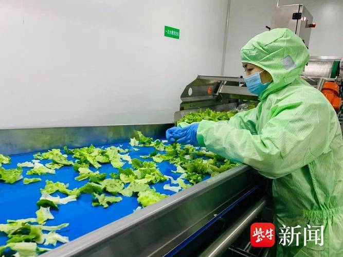 拼多多互相助力_智慧农业_拼多多千亿扶持计划