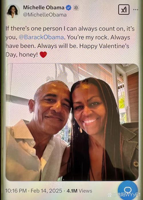 奥巴马僵尸粉比例_美国总统推特僵尸粉_推特粉丝业务平台