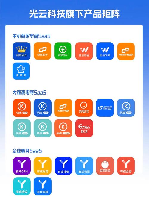 抖音业务全网最低价_光云科技688365分析_抖音小店概念龙头上市公司