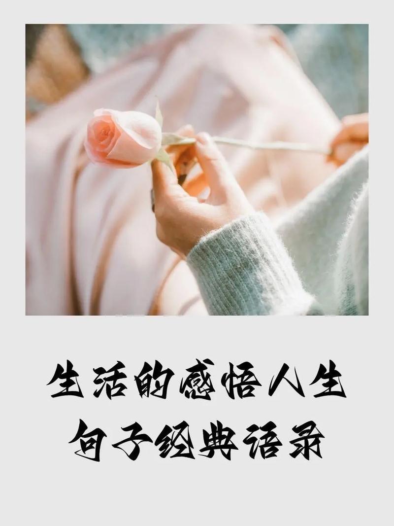 qq签名_QQ说说买攒_qq个性说说